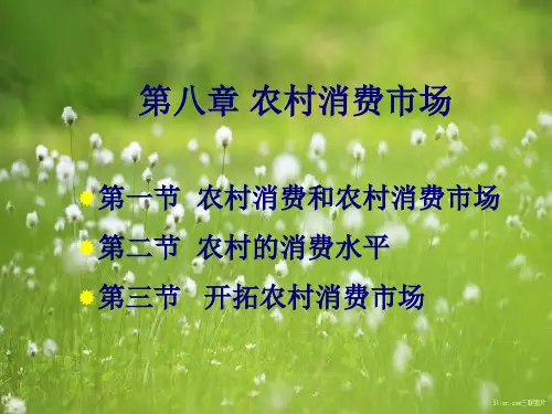 农村消费市场PPT教学课件