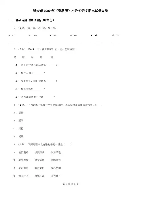 延安市2020年(春秋版)小升初语文期末试卷A卷(新版)