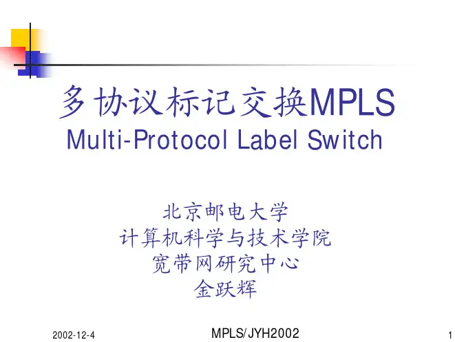 多协议标记交换MPLS