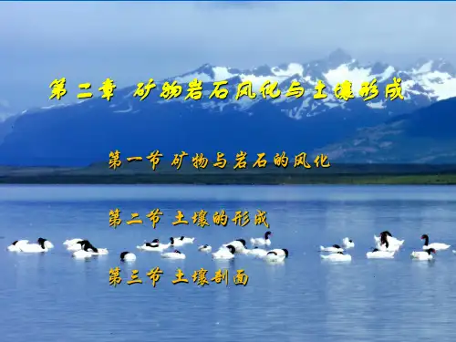 02 第二章 岩石风化与土壤形成 (2)