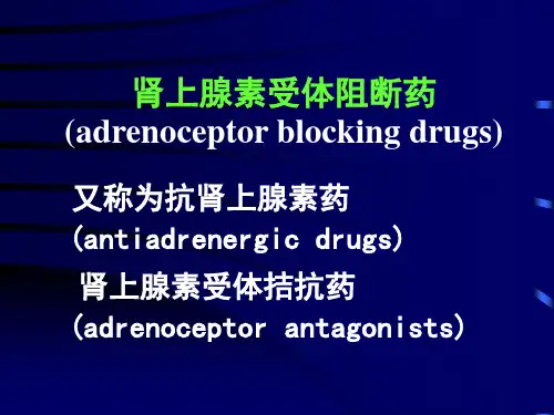 肾上腺素受体阻断药