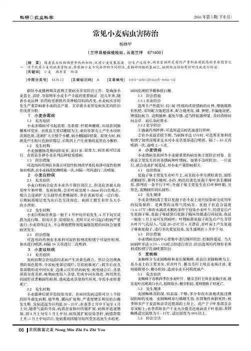 常见小麦病虫害防治
