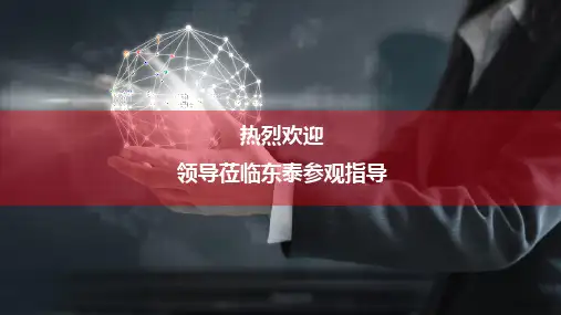 东泰公司 企业简介