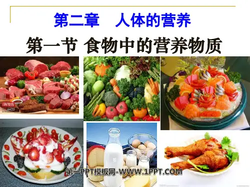 《食物中的营养物质》人体的营养6-人教版七年级生物下册PPT课件