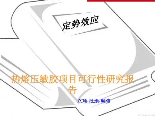 热熔压敏胶项目可行性报告1