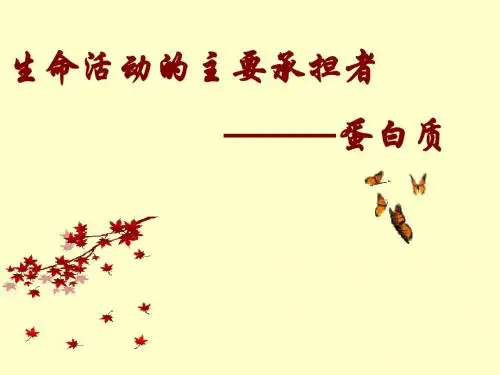 生命活动的主要承担者—蛋白质1