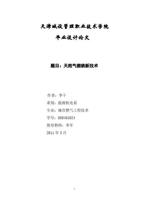 天然气燃烧新技术