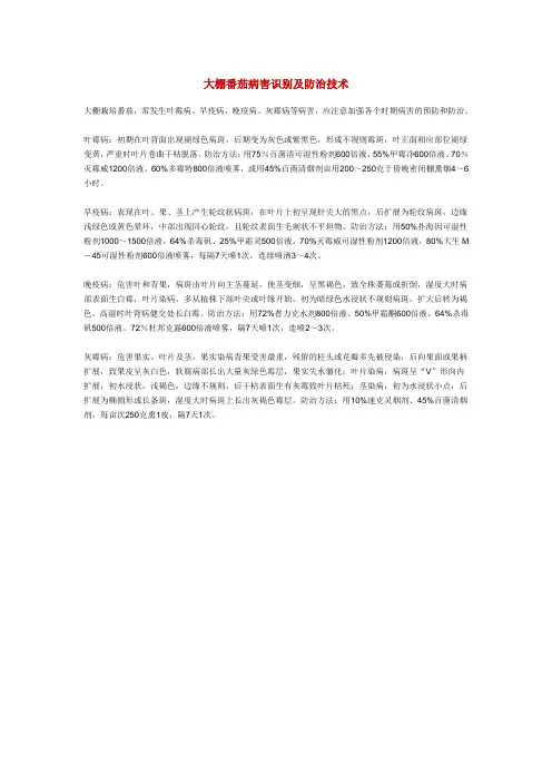 大棚番茄病害识别及防治技术
