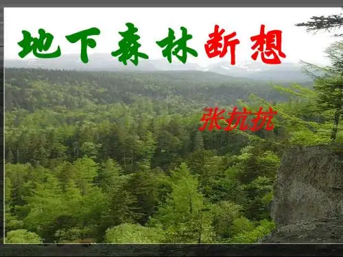 地下森林断想课件  青云中学张安刚