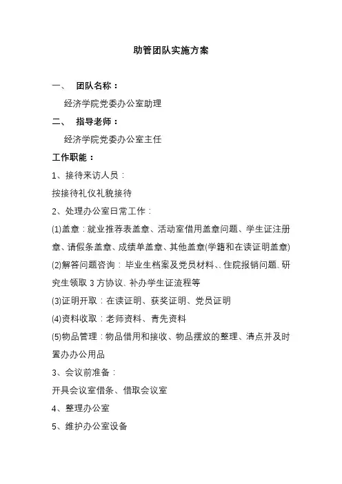团队实施方案
