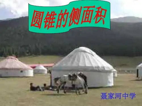 圆锥的侧面积--北师大版