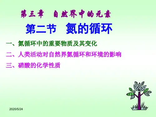 高一化学课件氮的循环1