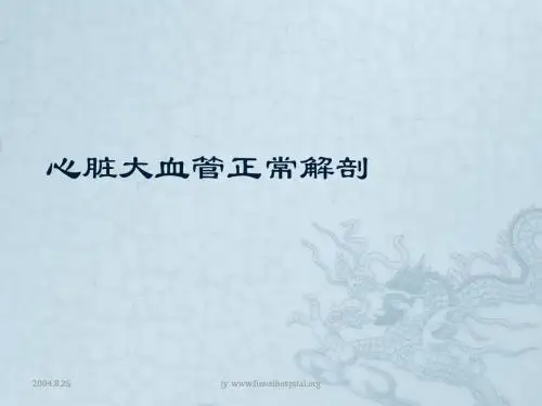 1月心脏大血管正常解剖