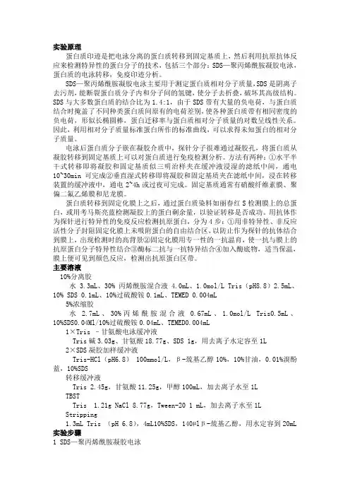 WB原理、步骤及总结