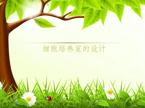 细胞培养室的设计ppt课件