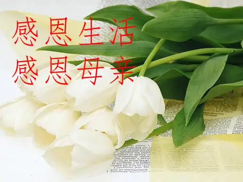 感恩生活,感恩母亲-主题班会1ppt课件