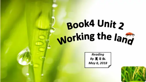 广东省廉江市实验学校人教版高中英语必修四Unit2Reading课件(共25张PPT)