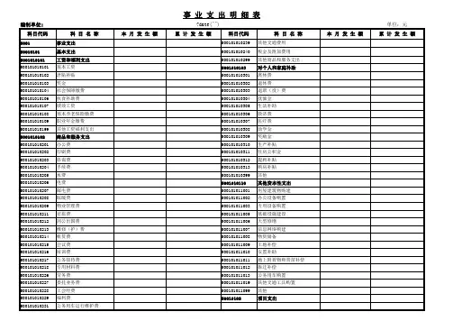 事业支出明细表