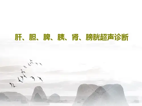 肝、胆、脾、胰、肾、膀胱超声诊断113页PPT