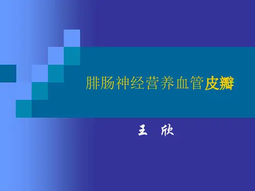 腓肠神经营养血管皮瓣
