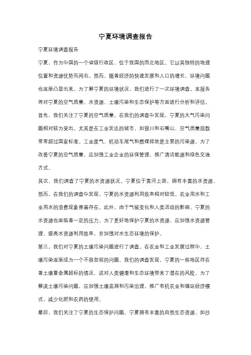 宁夏环境调查报告