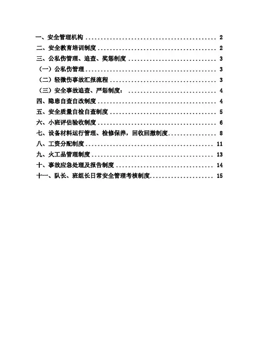 新自主安全管理体系内容