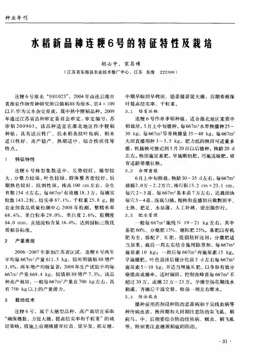 水稻新品种连粳6号的特征特性及栽培