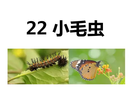 部编版二年级下册小毛虫