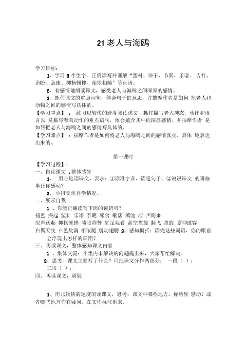 21《老人与海鸥》导学案