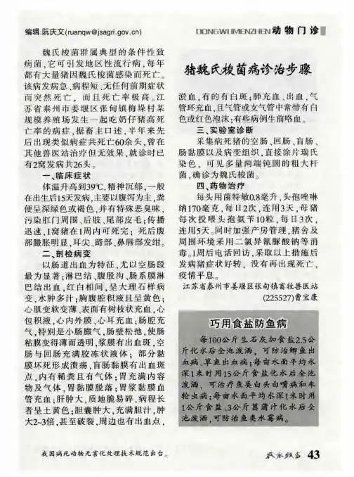 猪魏氏梭菌病诊治步骤