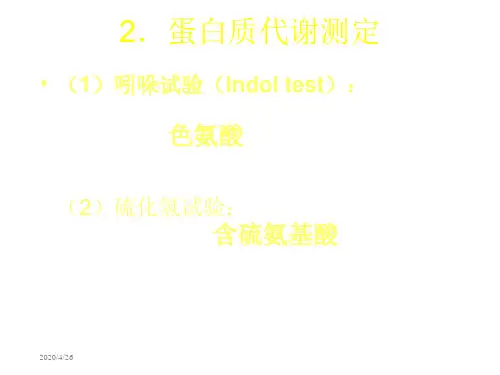 蛋白质样品的制备24