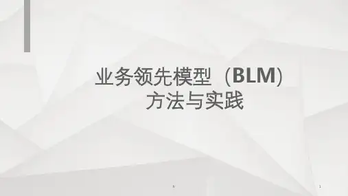 业务领先模型(BLM)方法与实践