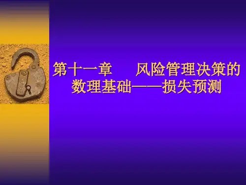 第11章 风险管理决策的数