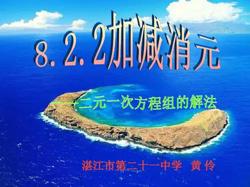 消元——二元一次方程组的解法加减法微课黄伶