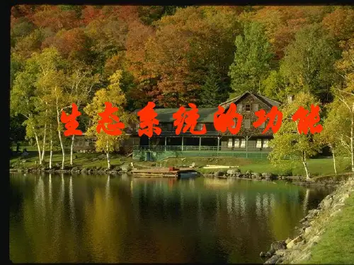 生态系统的功能PPT优选课件