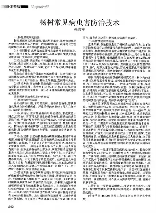 杨树常见病虫害防治技术