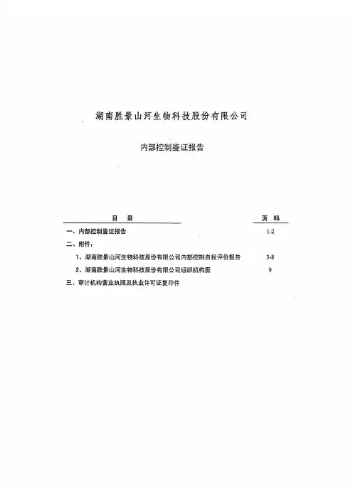 胜景山河:内部控制鉴证报告 2010-11-30
