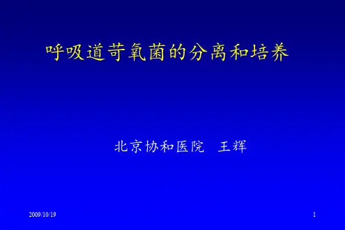 苛氧菌痰涂片
