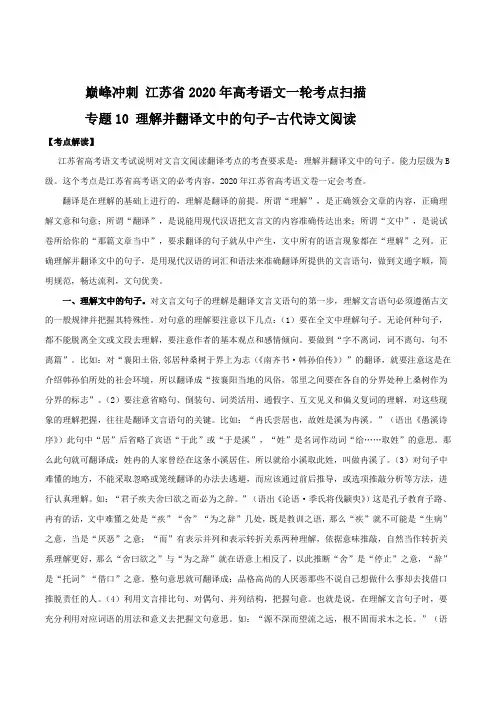 专题10 理解并翻译文中的句子-古代诗文阅读(解析版)