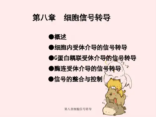 第八章细胞信号转导