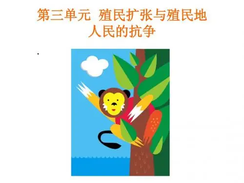 九年级历史上册《西方国家的殖民扩张和掠夺》简明教案