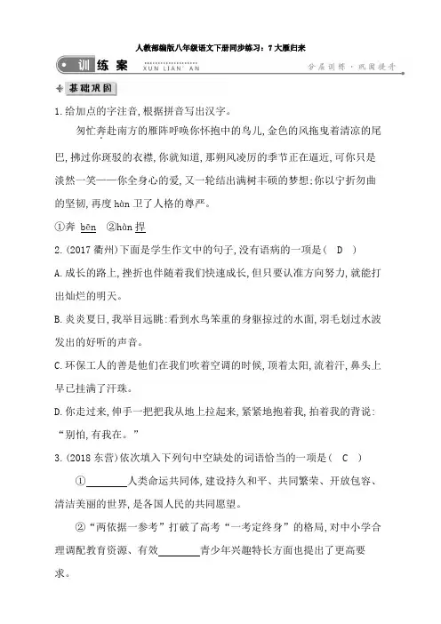 人教部编版八年级语文下册同步练习：7大雁归来