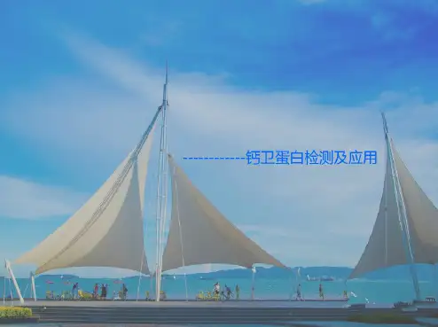 钙卫蛋白的诊断价值