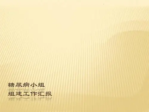 糖尿病小组组建工作汇报PPT课件