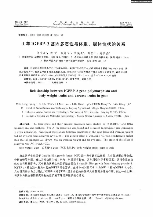 山羊IGFBP-3基因多态性与体重、屠体性状的关系