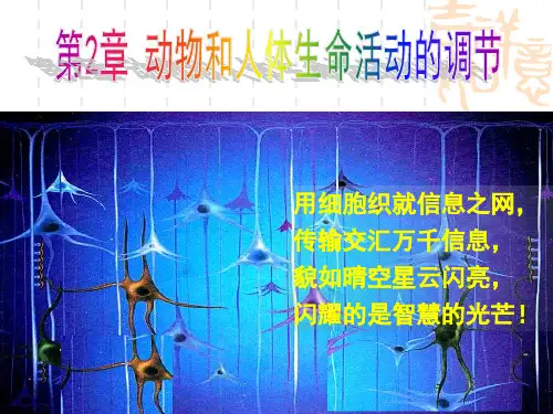 通过神经系统的调节解析