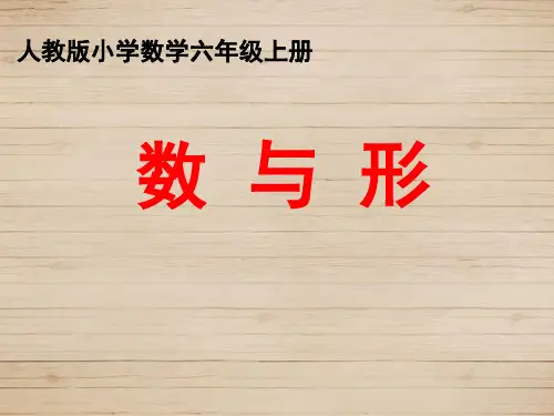 《数与形》优质课(课堂PPT)