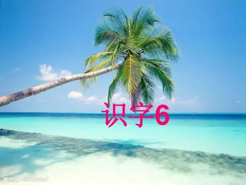苏教版二年级语文上册识字六ppt