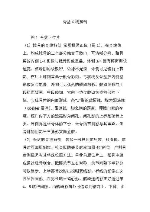 骨盆X线解剖