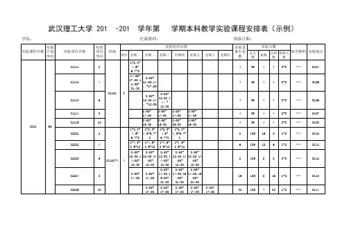 本科教学实验课程安排表(示例)